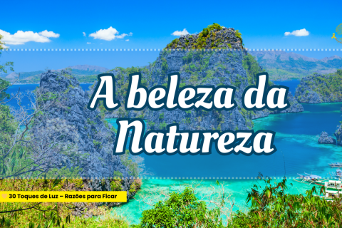 🌻 A Beleza da Natureza
