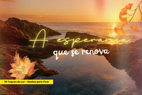 🌻 A Esperança Que Se Renova