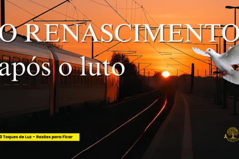 🌻 Renascimento Após o Luto