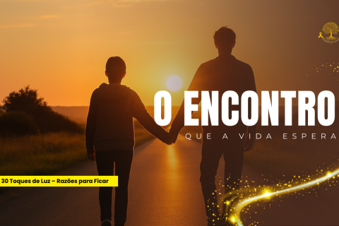 🌻 O Encontro Que a Vida Espera